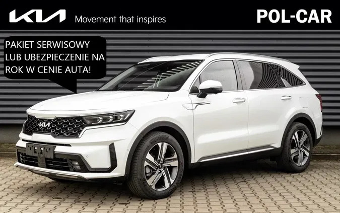 kujawsko-pomorskie Kia Sorento cena 249900 przebieg: 5, rok produkcji 2023 z Nowe Warpno